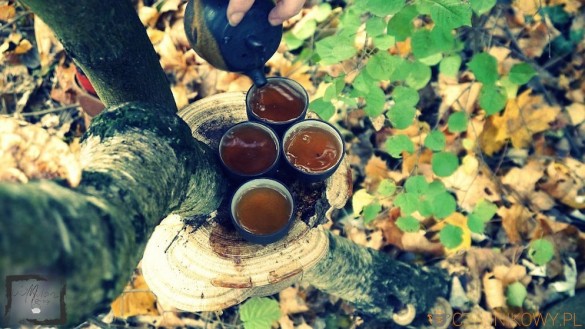 Rou Gui. Obłędny oolong z góry Wu Yi