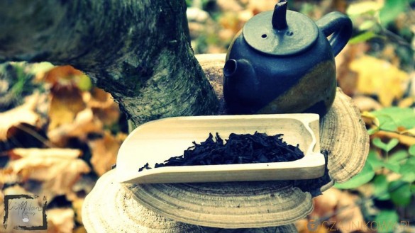 Rou Gui. Obłędny oolong z góry Wu Yi