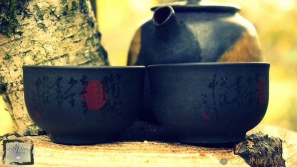 Rou Gui. Obłędny oolong z góry Wu Yi