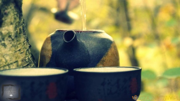 Rou Gui. Obłędny oolong z góry Wu Yi