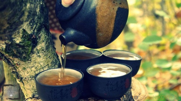 Rou Gui. Obłędny oolong z góry Wu Yi