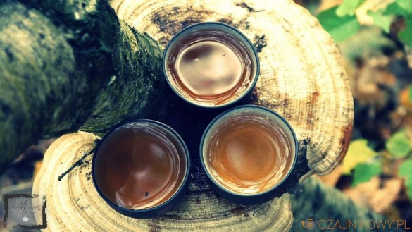 Rou Gui. Obłędny oolong z góry Wu Yi