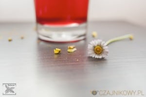 Herbatka owocowa na wiosnę