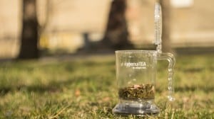 Najlepszy dzbanek do herbaty ingenuiTEA